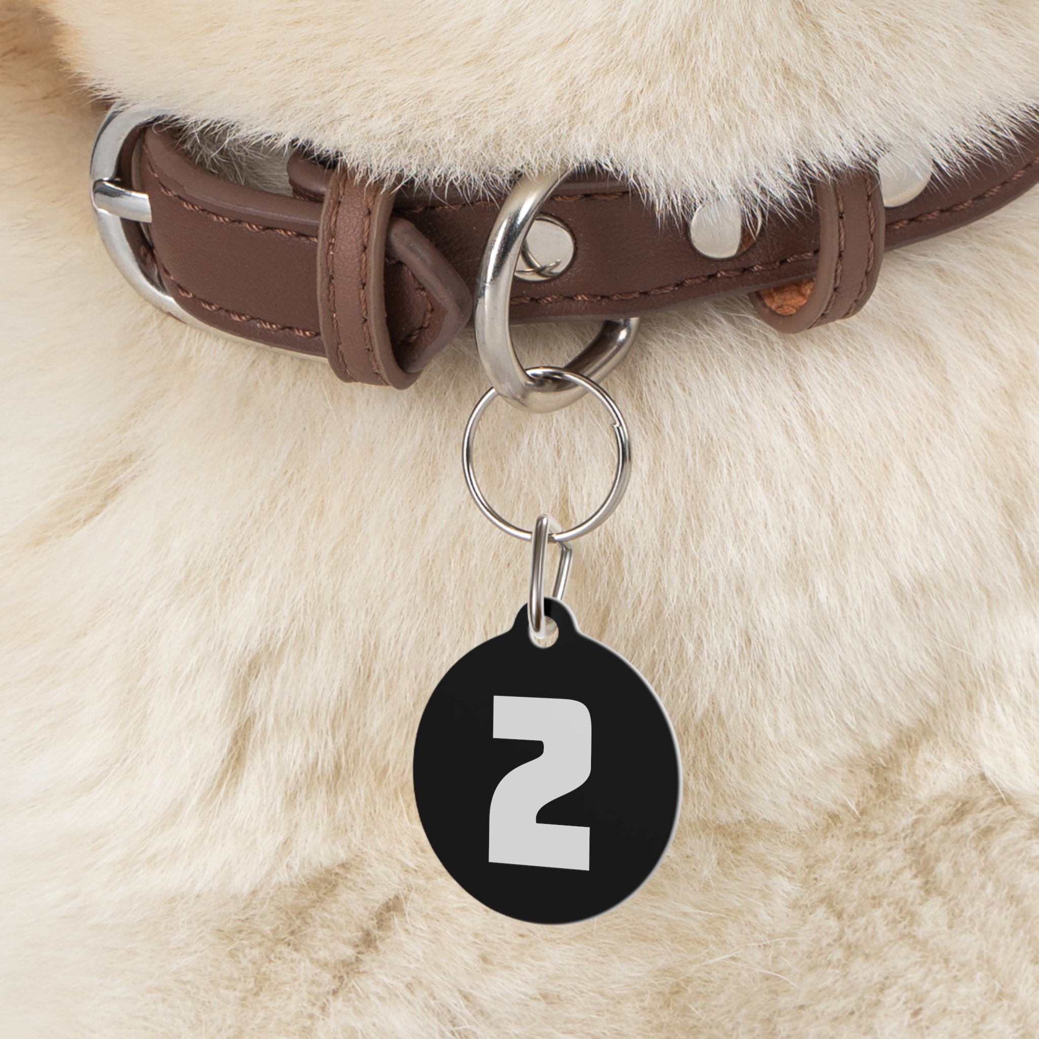 TWO | Pet Tag